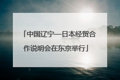 中国辽宁—日本经贸合作说明会在东京举行