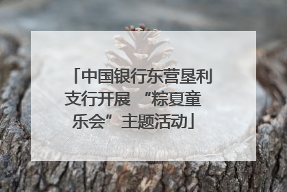 中国银行东营垦利支行开展 “粽夏童乐会”主题活动