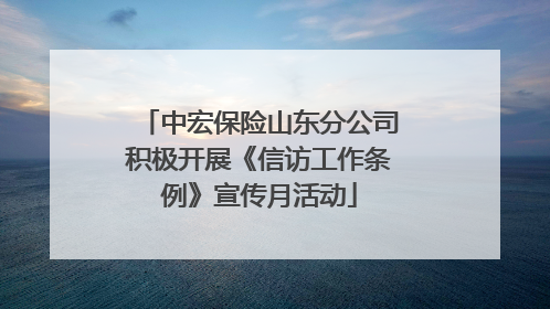 中宏保险山东分公司积极开展《信访工作条例》宣传月活动