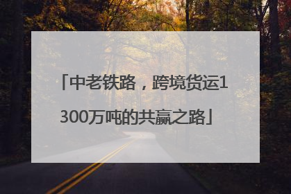 中老铁路，跨境货运1300万吨的共赢之路