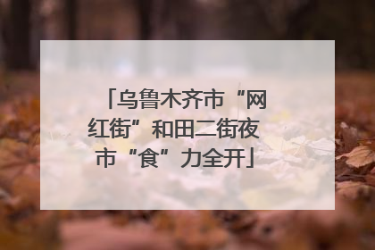 乌鲁木齐市“网红街”和田二街夜市“食”力全开