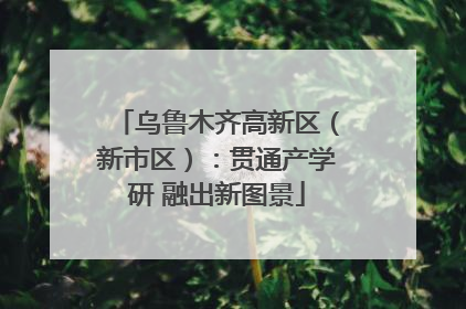 乌鲁木齐高新区（新市区）：贯通产学研 融出新图景
