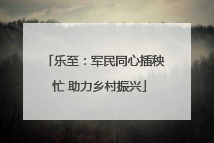 乐至：军民同心插秧忙 助力乡村振兴