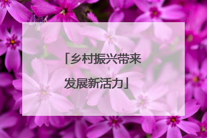 乡村振兴带来发展新活力