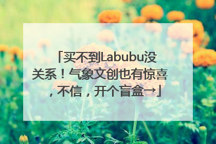 买不到Labubu没关系！气象文创也有惊喜，不信，开个盲盒→