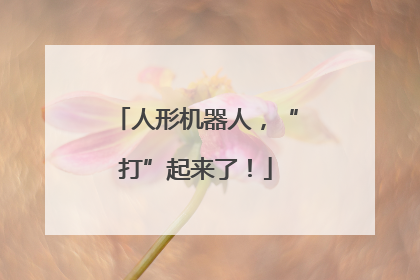 人形机器人，“打”起来了！