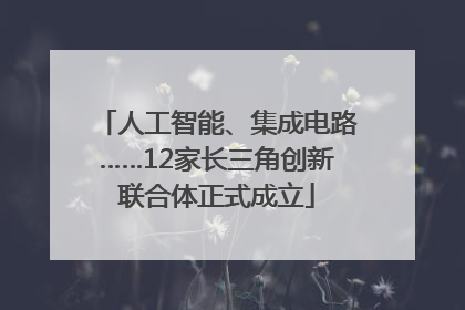 人工智能、集成电路……12家长三角创新联合体正式成立
