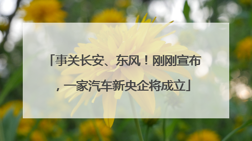 事关长安、东风！刚刚宣布，一家汽车新央企将成立