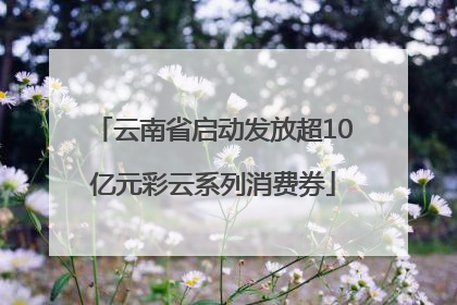 云南省启动发放超10亿元彩云系列消费券