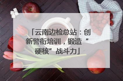 云南边检总站：创新警衔培训，锻造“硬核”战斗力