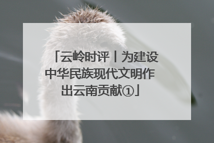 云岭时评丨为建设中华民族现代文明作出云南贡献①
