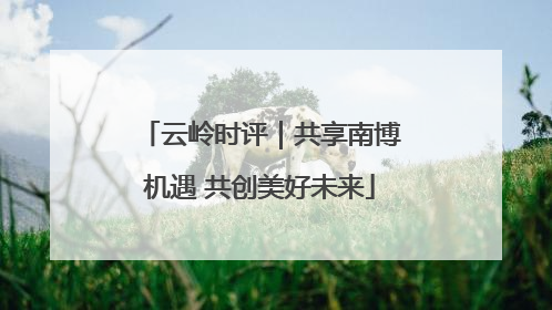 云岭时评｜共享南博机遇 共创美好未来