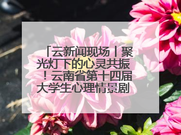 云新闻现场丨聚光灯下的心灵共振！云南省第十四届大学生心理情景剧决赛燃情开演