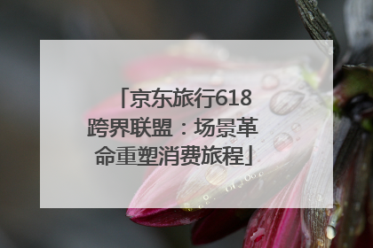 京东旅行618跨界联盟：场景革命重塑消费旅程