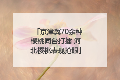 京津冀70余种樱桃同台打擂 河北樱桃表现抢眼
