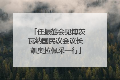 任振鹤会见博茨瓦纳国民议会议长凯奥拉佩采一行