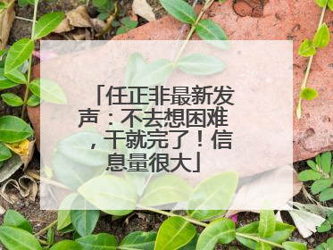 任正非最新发声：不去想困难，干就完了！信息量很大