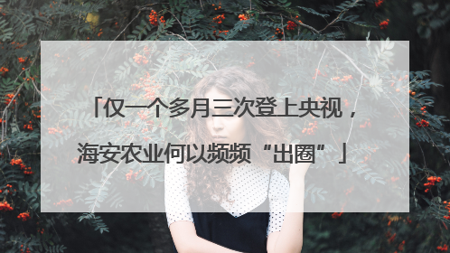仅一个多月三次登上央视，海安农业何以频频“出圈”