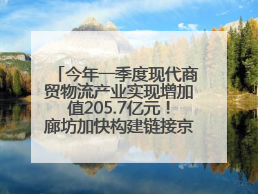 今年一季度现代商贸物流产业实现增加值205.7亿元！廊坊加快构建链接京津冀面向全世界的物流通道