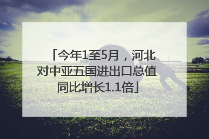 今年1至5月，河北对中亚五国进出口总值同比增长1.1倍