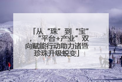 从“珠”到“宝”，“平台+产业”双向赋能行动助力诸暨珍珠升级蜕变