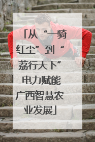 从“一骑红尘”到“荔行天下” 电力赋能广西智慧农业发展