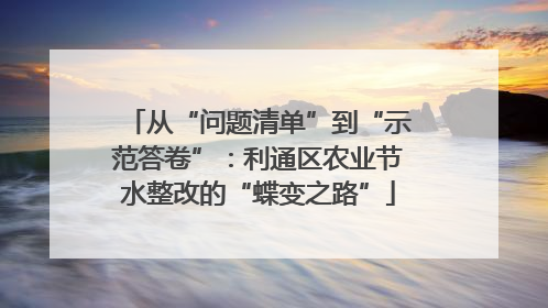 从“问题清单”到“示范答卷”：利通区农业节水整改的“蝶变之路”