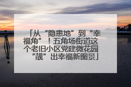 从“隐患地”到“幸福角”！五角场街道这个老旧小区党建微花园“靓”出幸福新图景