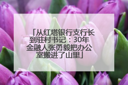 从红塔银行支行长到驻村书记：30年金融人张勇毅把办公室搬进了山里