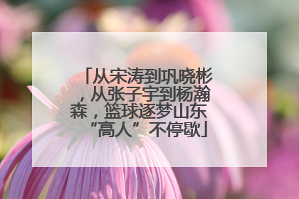 从宋涛到巩晓彬，从张子宇到杨瀚森，篮球逐梦山东“高人”不停歇