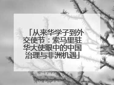 从来华学子到外交使节：索马里驻华大使眼中的中国治理与非洲机遇
