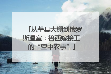从莘县大棚到俄罗斯温室：鲁西嫁接工的“空中农事”