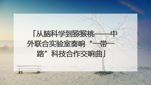 从脑科学到猕猴桃——中外联合实验室奏响“一带一路”科技合作交响曲