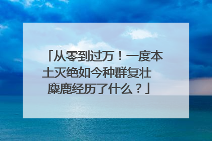 从零到过万！一度本土灭绝如今种群复壮 麋鹿经历了什么？