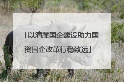 以清廉国企建设助力国资国企改革行稳致远