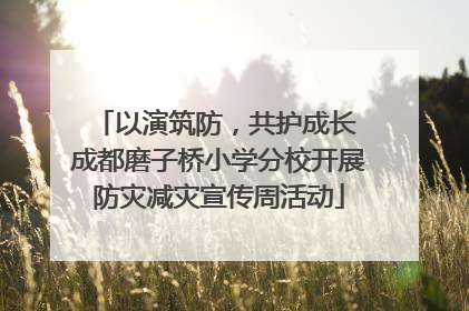 以演筑防，共护成长 成都磨子桥小学分校开展防灾减灾宣传周活动