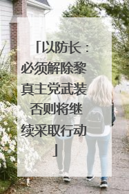 以防长：必须解除黎真主党武装 否则将继续采取行动