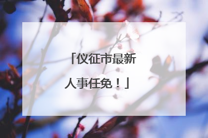 仪征市最新人事任免！