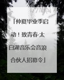 仲夏毕业季启动！致青春·太白湖音乐会音浪合伙人招募令