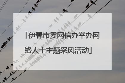 伊春市委网信办举办网络人士主题采风活动