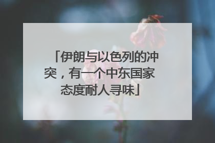伊朗与以色列的冲突，有一个中东国家态度耐人寻味