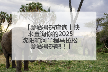 参赛号码查询丨快来查询你的2025沈阳和河半程马拉松参赛号码吧！