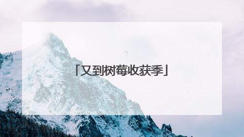 又到树莓收获季