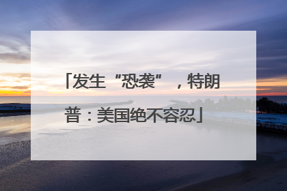 发生“恐袭”，特朗普：美国绝不容忍