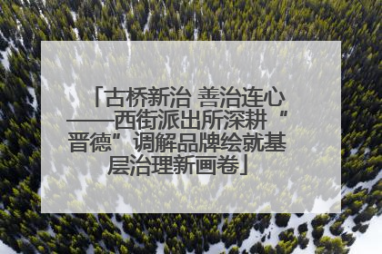 古桥新治 善治连心——西街派出所深耕“晋德”调解品牌绘就基层治理新画卷