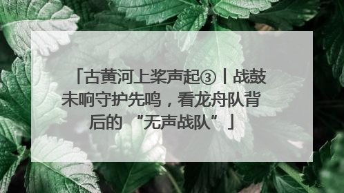 古黄河上桨声起③丨战鼓未响守护先鸣，看龙舟队背后的 “无声战队”