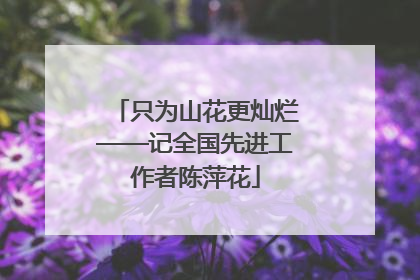 只为山花更灿烂——记全国先进工作者陈萍花