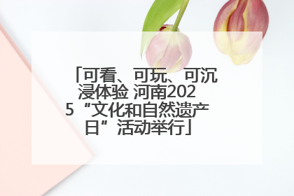 可看、可玩、可沉浸体验 河南2025“文化和自然遗产日”活动举行