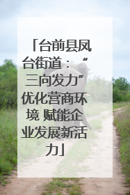 台前县凤台街道：“三向发力”优化营商环境 赋能企业发展新活力