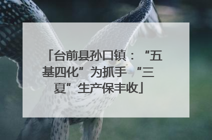 台前县孙口镇：“五基四化”为抓手 “三夏”生产保丰收
